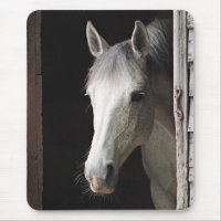 Animaux gris Mousepad de cheval de jument