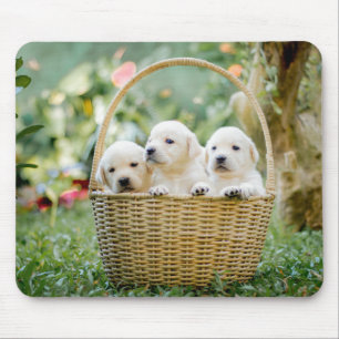 Tapis De Souris animaux, nature, chiot