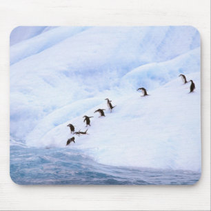 Tapis De Souris Antarctique, péninsule Antarctique. Écran