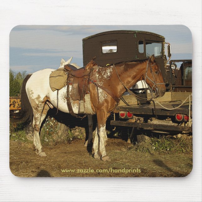 Tapis De Souris Appaloosa Horse Equine Design occidental (Devant)