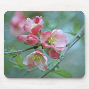 Tapis De Souris Apple Blossom #P0356 Mousepad