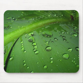 Tapis De Souris Après pluie