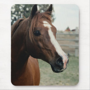 Tapis De Souris Arabian au Pasture