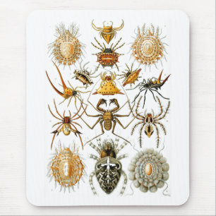 Tapis De Souris Arachnida (Araignées), Ernst Haeckel Art