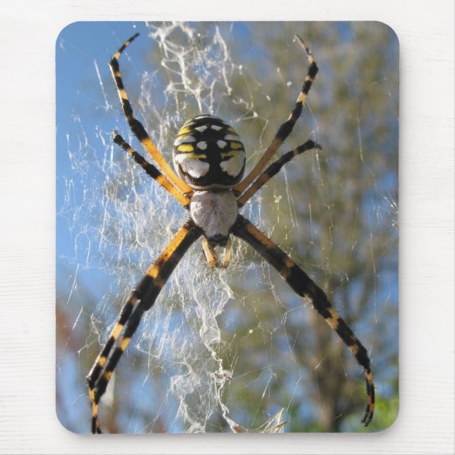 Tapis De Souris Araignée d'Argiope (Devant)