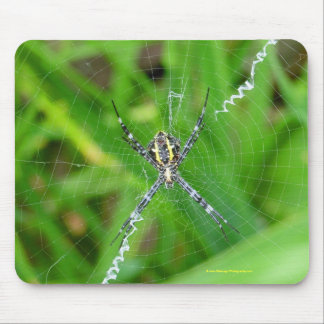 Tapis De Souris Araignée de canne - grand mousepad d'île