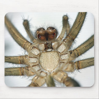 Tapis De Souris araignée d'exosquelette