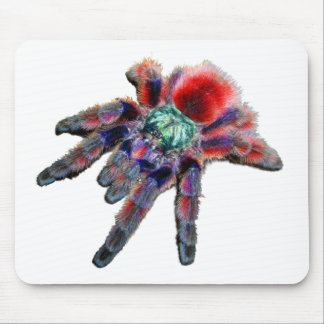 Tapis De Souris Araignée Tarantula, arachnide, grande araignée ble