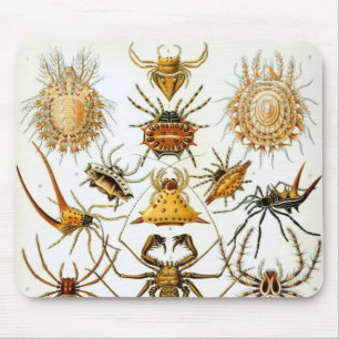 Tapis De Souris Araignées ou arachnides vintage par Ernst Haeckel