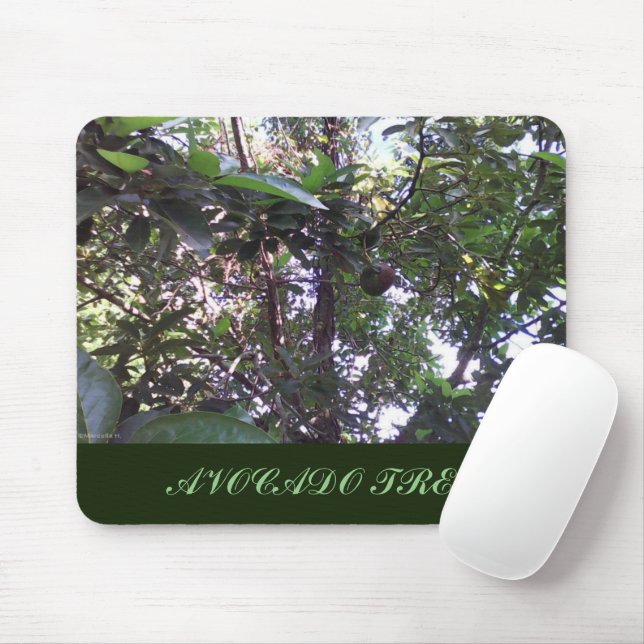 Tapis De Souris Arbre Avocado (Avec souris)