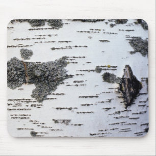 Tapis De Souris Arbre de bouleau dans la forêt, détail, avec de la
