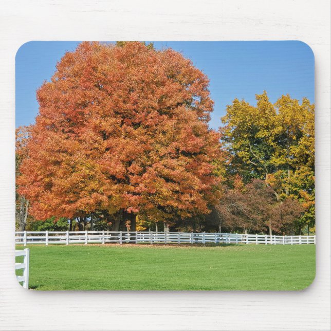 Tapis De Souris Arbre de chêne d'automne (Devant)