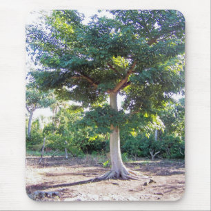 Tapis De Souris Arbre de la sagesse