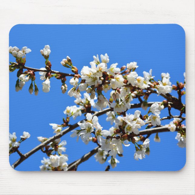Tapis De Souris Arbre de printemps blanc fleuri blanc (Devant)