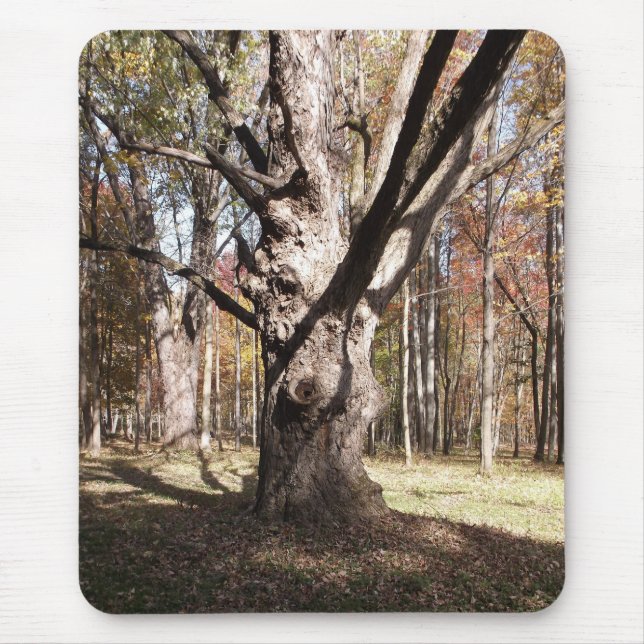 Tapis De Souris Arbre étrange (Devant)