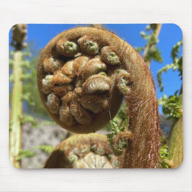 Tapis De Souris Arbre Fern Frond (Devant)