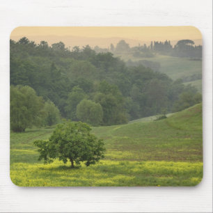 Tapis De Souris Arbre isolé dans un champ agricole, Toscane,