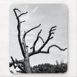 Tapis De Souris arbre libre