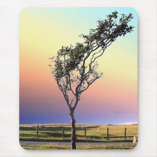 TAPIS DE SOURIS ARBRE LONE   (Devant)