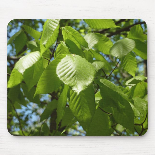 Tapis De Souris Arbre vert Feuille à bouleau printanier (Devant)