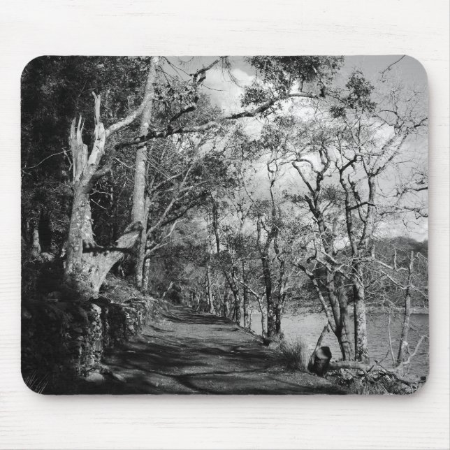 TAPIS DE SOURIS ARBRES (Devant)