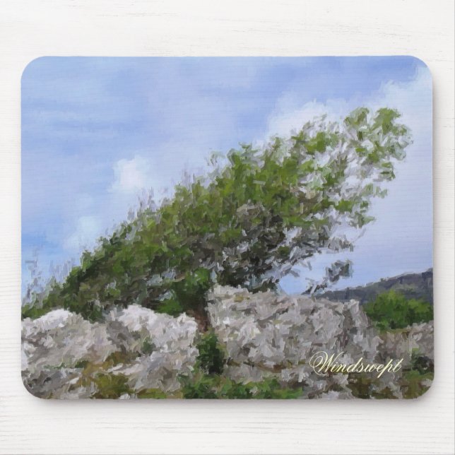 TAPIS DE SOURIS ARBRES (Devant)