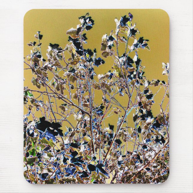 TAPIS DE SOURIS ARBRES (Devant)