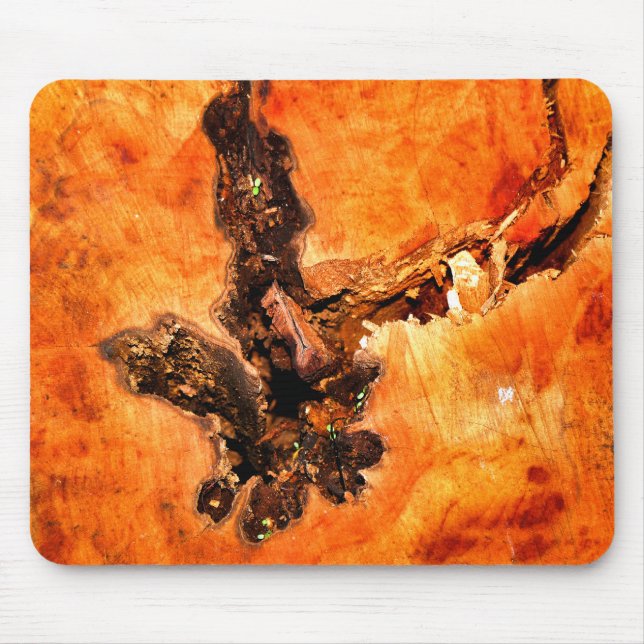 TAPIS DE SOURIS ARBRES (Devant)