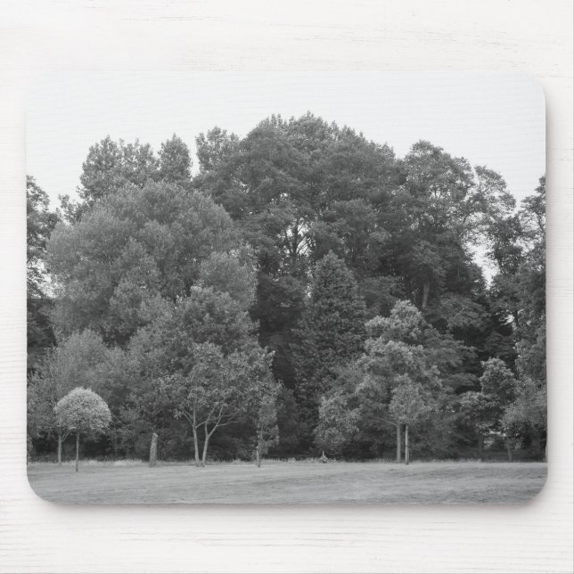 Tapis De Souris Arbres à Bute Park, Cardiff - BW (Devant)