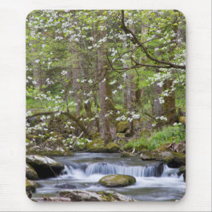 Tapis De Souris Arbres à Dogwood   Great Smoky Mountain, Tennessee