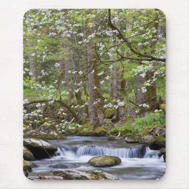 Tapis De Souris Arbres à Dogwood | Great Smoky Mountain, Tennessee (Devant)