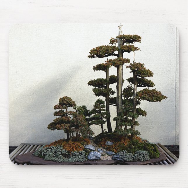 Tapis De Souris Arbres chinois de bonsaïs de genévrier (Devant)