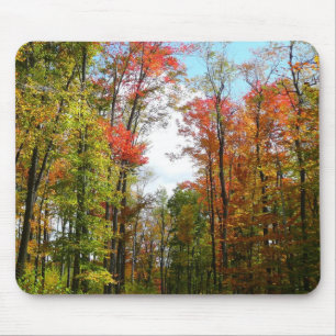 Tapis De Souris Arbres d'automne et ciel bleu Photographie de la n