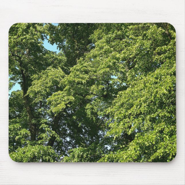 Tapis De Souris Arbres d'été (Devant)