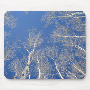 Tapis De Souris Arbres d'hiver