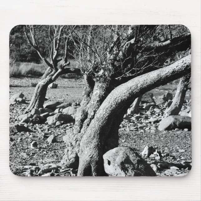 TAPIS DE SOURIS ARBRES NOIRS ET BLANCS (Devant)