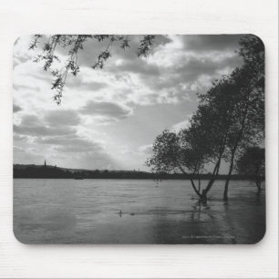 Tapis De Souris Arbres par le lac B&W