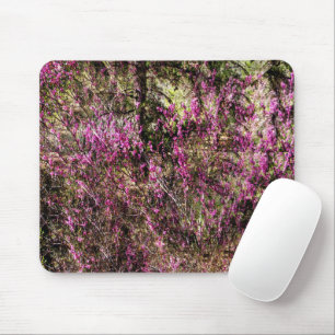 Tapis De Souris Arbres rouges.......