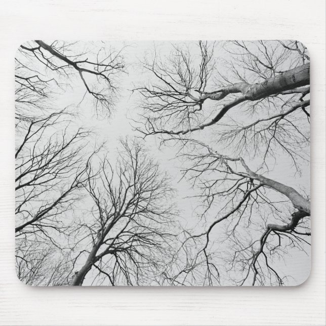 Tapis De Souris Arbres sans feuilles en bois de Thiepval (Devant)