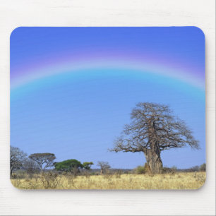 Tapis De Souris Arc en ciel et baobab africain, Adansonia