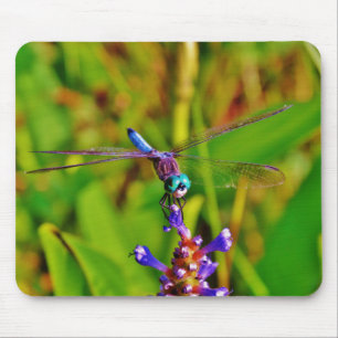 Tapis De Souris Arc en ciel libellule et fleur