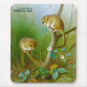 Tapis De Souris Archibald Thorburn Cute souris (Dormice, 1903) CC0