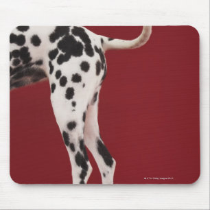 Tapis De Souris Arrière de Dalmate