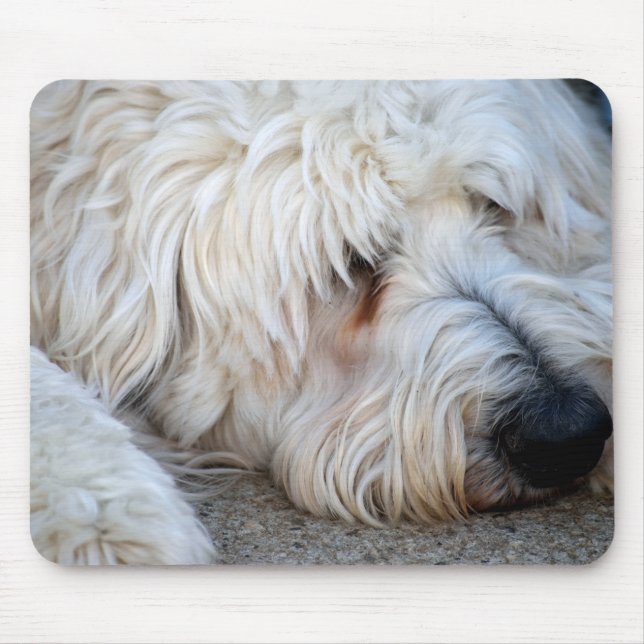 Tapis De Souris Arrière - plan Goldendoodle (Devant)