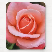 Art botanique romantique Rose Imprimer