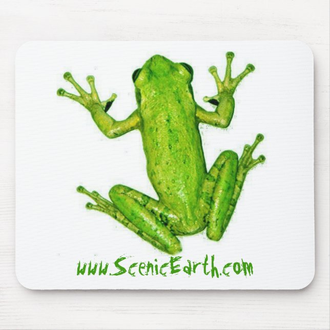 Tapis De Souris Art tropical de MousePad de grenouille d'arbre de (Devant)