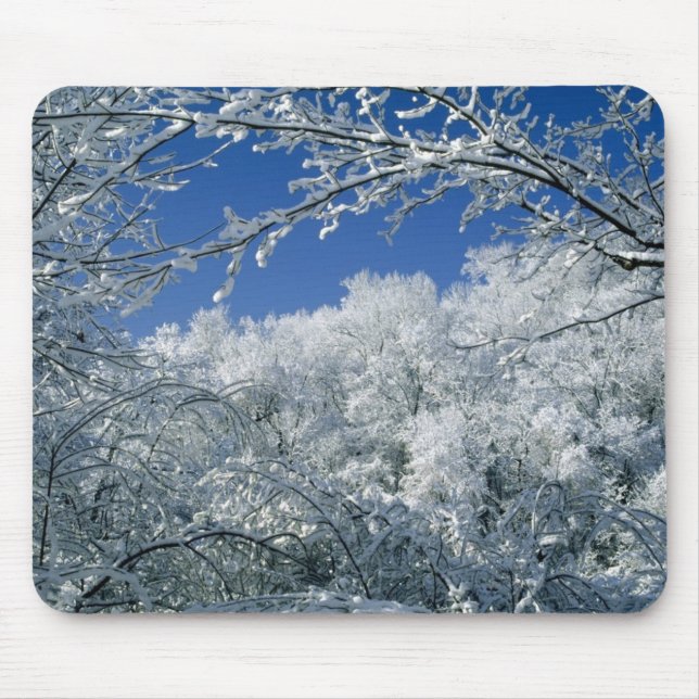 Tapis De Souris Asile d'hiver (Devant)