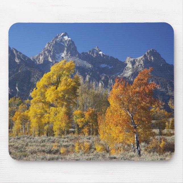 Tapis De Souris Aspen trees with the Teton mountain (Devant)