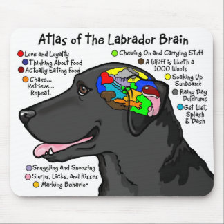 Tapis De Souris Atlas noir de cerveau de Labrador