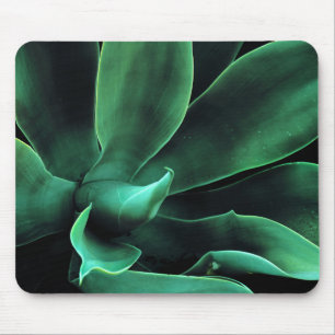 Tapis De Souris Atténuata Agave Vert